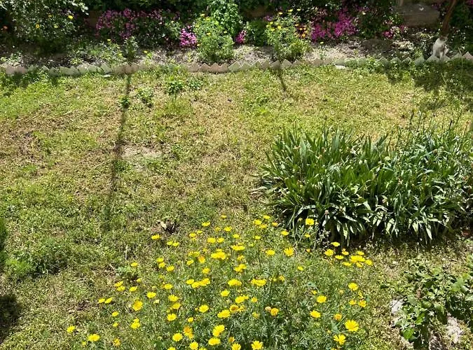 Sonya 公寓 斯普利特