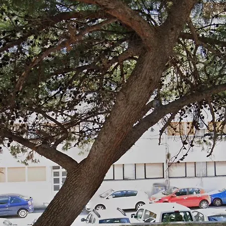 דירה Spacious Family Free Parking Near Old Town ספליט