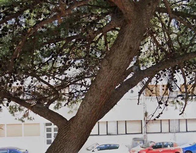 アパート Sonya スプリト