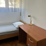 Spacious Family Free Parking Near Old Town Apartment Split
