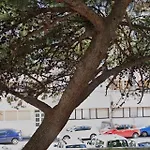 Apartment Spacious Family Free Parking Near Old Town Split