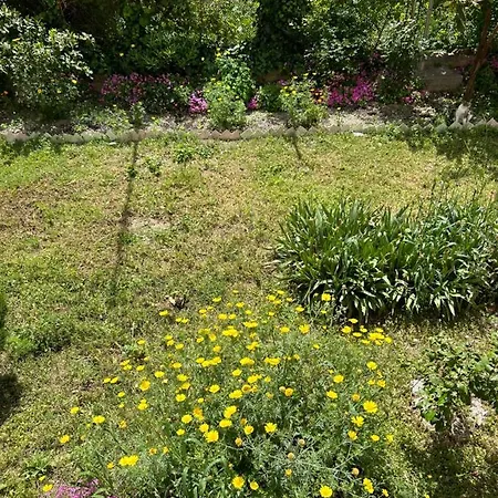 Sonya Apartamento Split