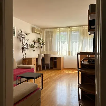 Sonya Apartment *